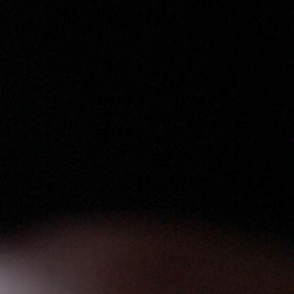 Meet your Posher, Ronnie